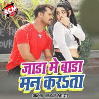 Suni Devar Ji Rajesh Rasila Song Download Mp3