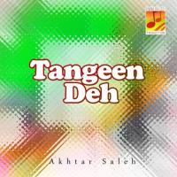 Dil Parche Mojan Akhtar Saleh Song Download Mp3