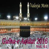 Gulha-e-Aqidat 2016, Vol. 61 songs mp3