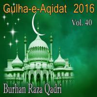 A Gaye Noor Kay Payamber Burhan Raza Qadri Song Download Mp3