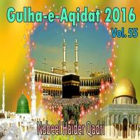 Dekho Aai Mustafa Ki Sawari Nabeel Haider Qadri Song Download Mp3