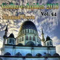 Gulha-e-Aqidat 2016, Vol. 54 songs mp3