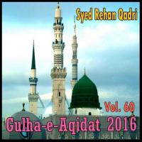 Moojza Mere Nabi Ka Syed Rehan Qadri Song Download Mp3