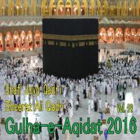 Gulha-e-Aqidat 2016, Vol. 59 songs mp3