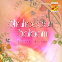 Shaheedan Salaam songs mp3