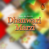 Dhanwari Marzi songs mp3