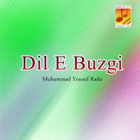 Dil-e-Buzgi songs mp3