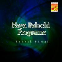 Zalima Dushmanaan Sabzal Samgi Song Download Mp3