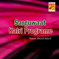 Sarguwaat Kalri Programe songs mp3