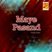Pushtage Dil Pada Naseer Ahmed Song Download Mp3