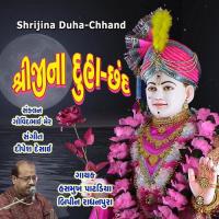 Shrijina Duha Chhand, Pt. 2 Hasmukh Patadiya,Bipin Radhanpura Song Download Mp3