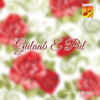 Gulaab-e-Pul Sajid Wali Baloch Song Download Mp3