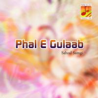 Phul-e-Gulaab Mani Dilruba Sabzal Samgi Song Download Mp3