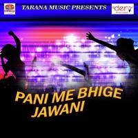 Pani Me Bhinge Jawani Bedard Sajan Song Download Mp3