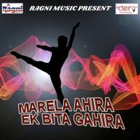 Marela Ahira Ek Bita Gahira Bullet Raja Song Download Mp3