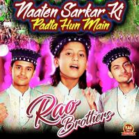Naaten Sarkar Ki Padta Hun Main Rao Brothers Song Download Mp3