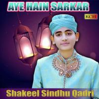 Huzoor Tashreef Lany Lagy Shakeel Sindhu Qadri Song Download Mp3