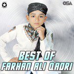 Ya Mustafa Khair Ul Wara Farhan Ali Qadri Song Download Mp3