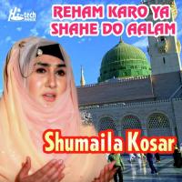 Reham Karo Ya Shahe Do Aalam Shumaila Kosar Song Download Mp3
