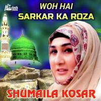 Woh Hai Sarkar Ka Roza Shumaila Kosar Song Download Mp3