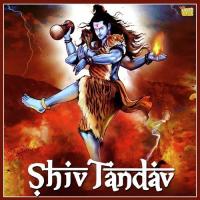 Shiv Tandav Damodar Raao Song Download Mp3