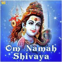 Om Trayambha Kam Srk Chorus Song Download Mp3