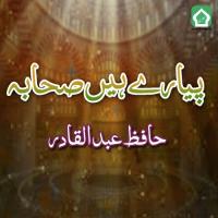 Pyare Hain Sahaba Hafiz Abdul Qadir Song Download Mp3