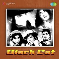 Black Cat songs mp3