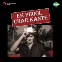 Ek Phool Char Kante songs mp3