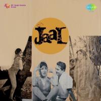 Yeh Raat Yeh Chandni Duet Hemant Kumar,Lata Mangeshkar Song Download Mp3