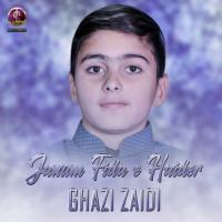 Janum Fida E Haider Ghazi Zaidi Song Download Mp3
