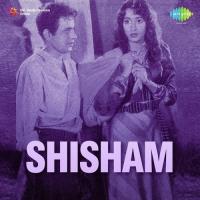 Shisham songs mp3