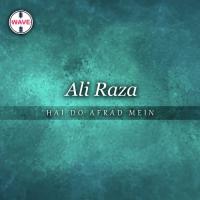 Hai Do Afrad Mein Ali Raza Song Download Mp3