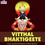 Vari Ashadhachi Sudhir Waghmode,Padmaja Lamrud Song Download Mp3