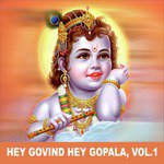 Hey Govind Hey Gopala, Vol. 1 songs mp3