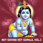 Hey Govind Hey Gopala, Vol. 3 songs mp3