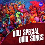 Holi Special Odia Songs songs mp3