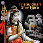 Jai Shiv Omkara - Shivji Ki Aarti Sanjeevani Bhelande Song Download Mp3