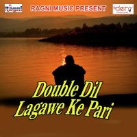 Double Dil Lagawe Ke Pari Rohit Raja Song Download Mp3