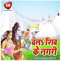 Aso Ke Sawan Me Devghar Anant Raj Song Download Mp3