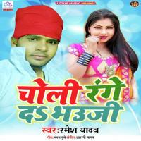 Choli Range Da Bhauji Amrita Dixit Song Download Mp3