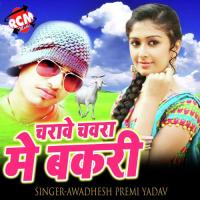 Charawe Chawara Me Bakari Amrita Dixit Song Download Mp3