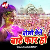 Lahanga Me Rang Kahe Jhok Diya Re Amrita Dixit Song Download Mp3