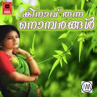 Azhakulla Penne Ninte Ali Mangad Song Download Mp3