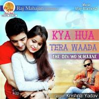 The Din Woh Suhaane Krishna Yadav Song Download Mp3