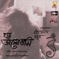 Haay Bhalobashi Moheen Ekhon O Bandhura Song Download Mp3