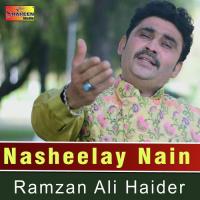 Akhi Niliyan Ramzan Ali Haider Song Download Mp3