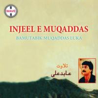 Injeel E Muqaddas Bamutabik Muqaddas Luka, Pt. 9 Abid Ali Song Download Mp3