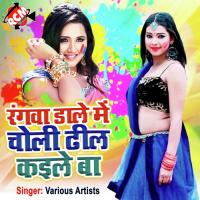 Rangwa Dale Me Choli Dhil Kaile Ba (Holi Geet) songs mp3