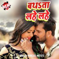 Dilwa Hamar Tor Ke Gailu Rohit Raj Song Download Mp3